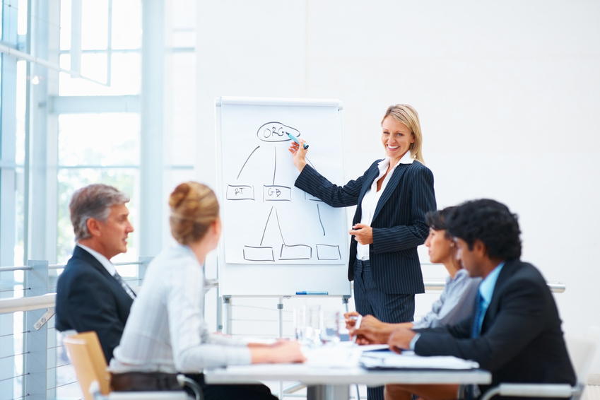 Portrait of a young business woman explaining during presentation