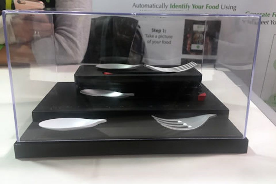 spun-app-tecnologicc81a-comida-ces