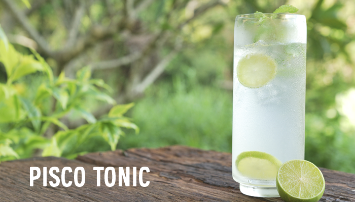 pisco_tonic_atrapalo
