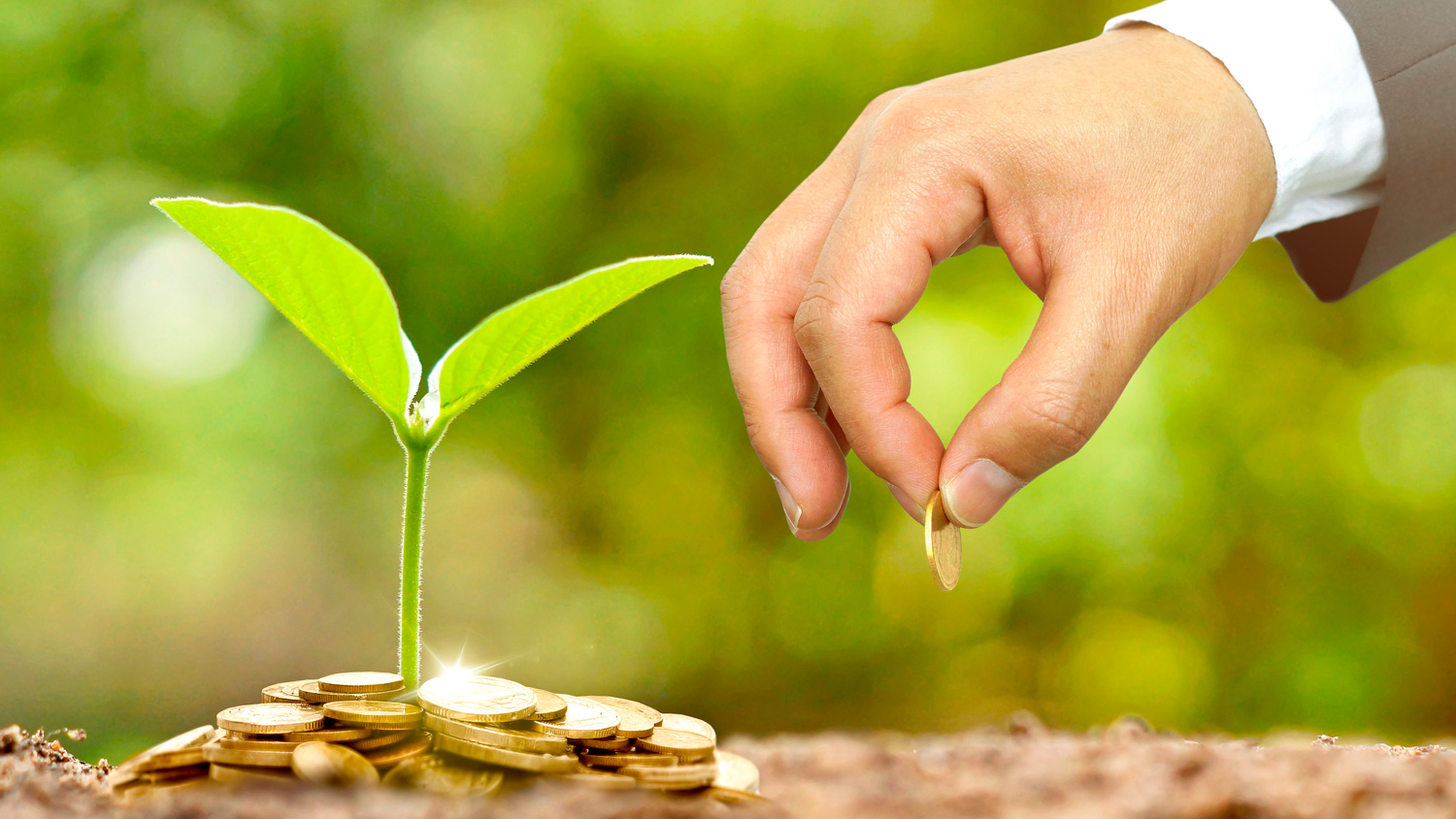 Gana Dinero: 8 Ideas de negocios ecológicos